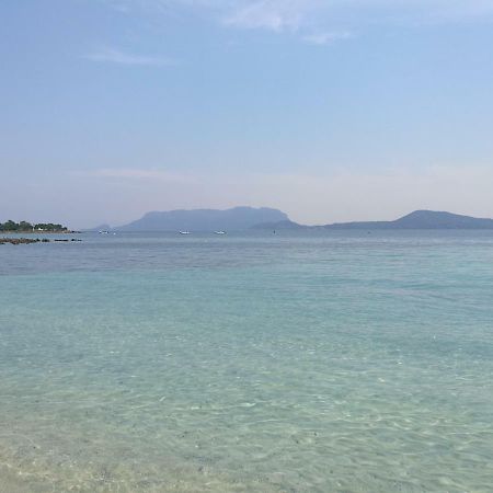 Da Giulia Le Mimose Apartment Olbia Bagian luar foto
