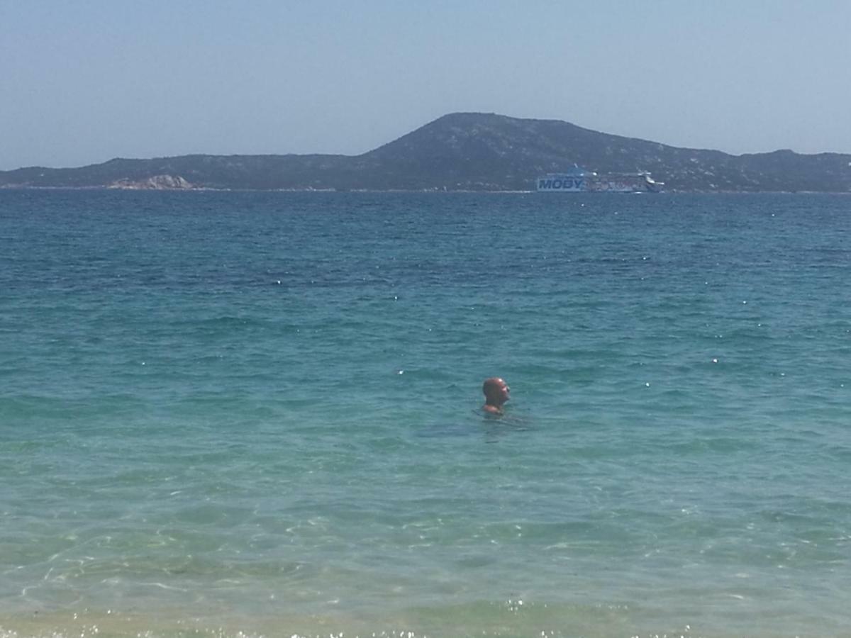 Da Giulia Le Mimose Apartment Olbia Bagian luar foto